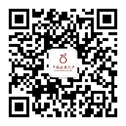 Wechat QR